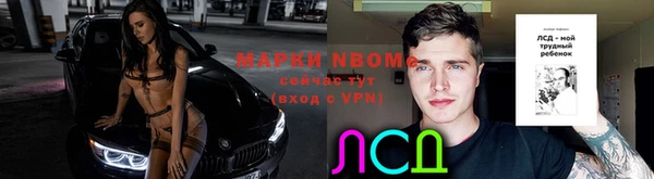 стаф Алексеевка