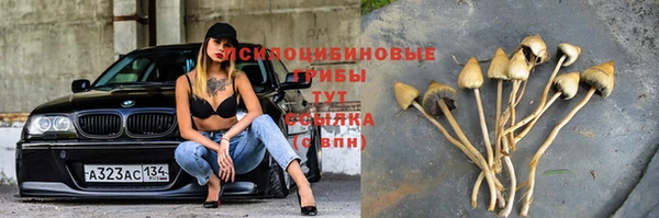 марки nbome Алзамай