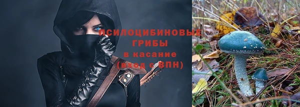 стаф Алексеевка
