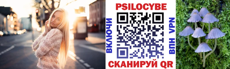 Галлюциногенные грибы GOLDEN TEACHER  купить   Александровское 
